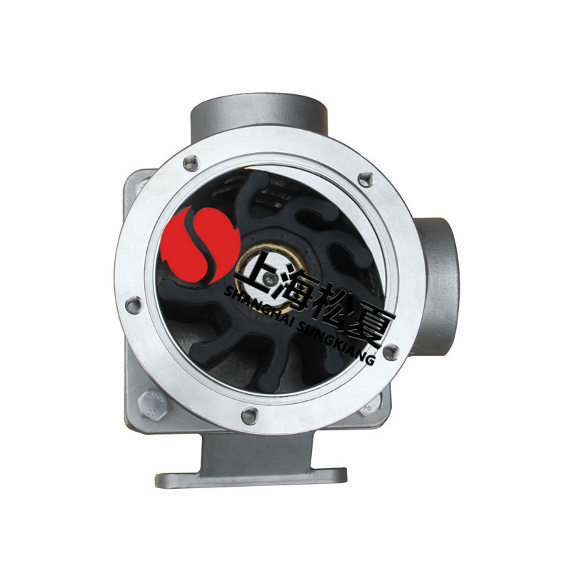  什麽叫內裝式橡膠葉輪泵？