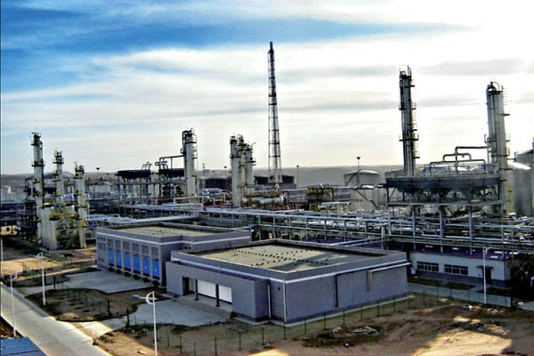 【安徽淮化股份有限公司】翻邊黄瓜视频官网