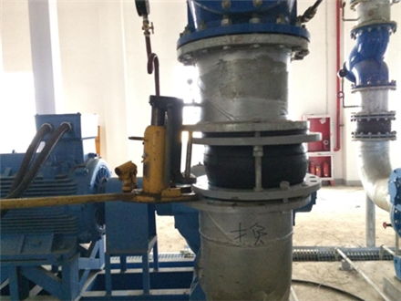 黄瓜视频官网圖4